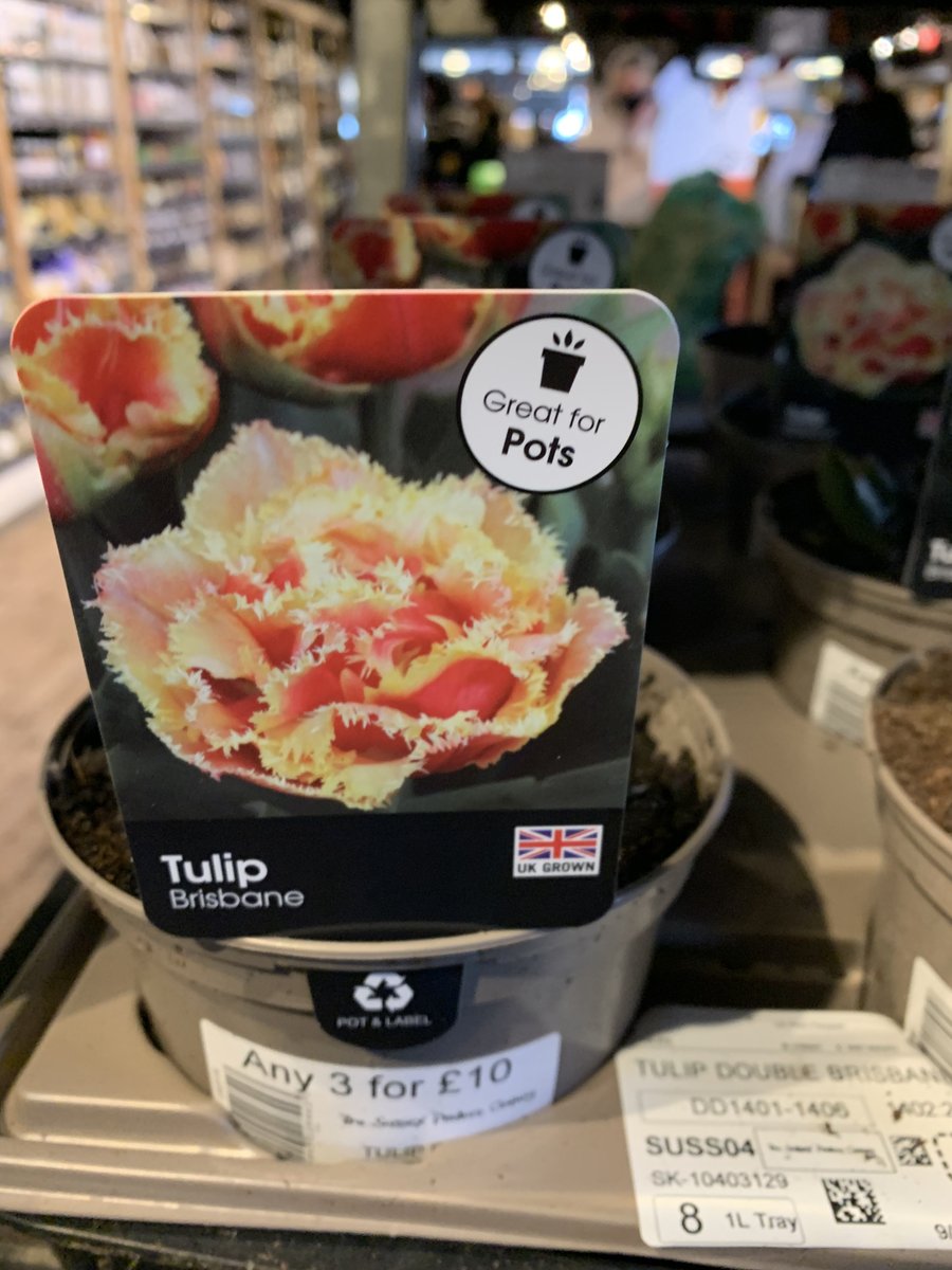 Sussex Produce Co. (@sussexproduce) on Twitter photo 