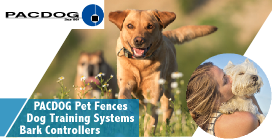 PACDOGCOLLARS's tweet photo. Looking to have fun in your garden with your dog secure! The Pacdog Fence is an effective underground containment system for all types of dogs. Set your boundaries around your property that allows your dog to be safe. https://t.co/ybZEynCjZM #dog #petfence #obediencetraining https://t.co/jrSI85bnyl