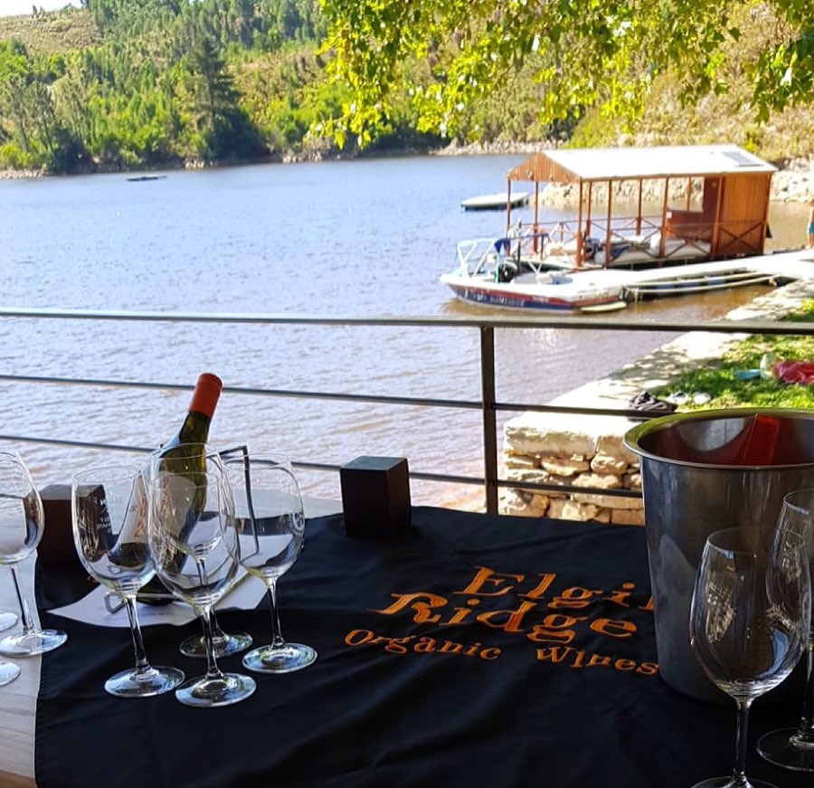 Take me to the river... riverside wine tasting at #elginriverlodge - looks swell hey?

#southafrica #southafricanwines #drinksouthafrican #elginridgewines #organicwine #biodynamicwine #savesawine #sipsouthafrican  #capetown