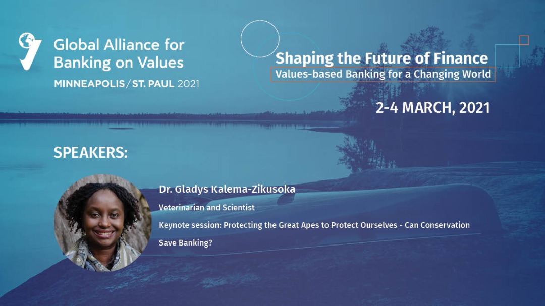I will be speaking at the Global Alliance for Banking on Values @bankingonvalues 2021 Annual meeting on 3rd March at 11:00am(Uganda Time),about how conservation could save banking. Click here to learn more ow.ly/gWQB50DvF3J
#gabvannualmeeting2021
#BankingOnValues
#OneHealth