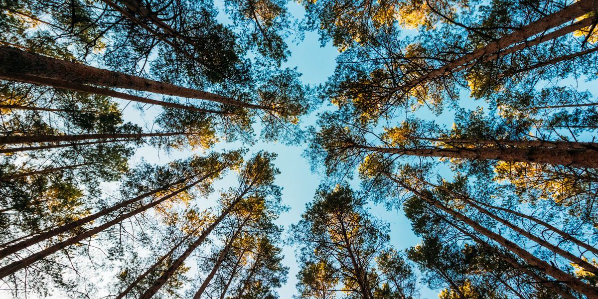 "Will two hours in the park become the next 10,000 steps?

As people spend more time indoors, a mountain of scientific research says spending time in nature is critical to health and increases longevity." 

 buff.ly/2N5zgRk