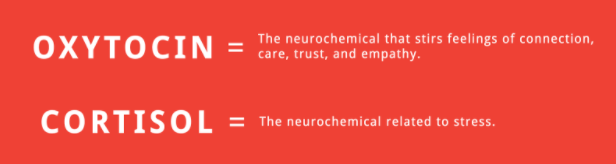 ‘Oxytocin is the most beautiful hormone. It makes us human.’Reason kenapa kita tak gemar marketing yang guna ‘fear’, ‘urgency ’, ‘shame’ atau ‘shock’ sebab ia rembeskan stress hormones that lead to poor buying decision or regret. We WANT to be inspired and hopeful. (4/12)