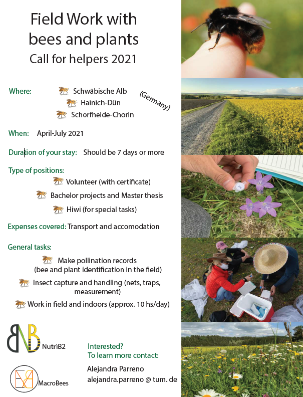 NutriB2's tweet photo. Call for helpers in Field Work 2021 (Germany) - contact us if you are interested in joining! https://t.co/LfeHSEUEmQ