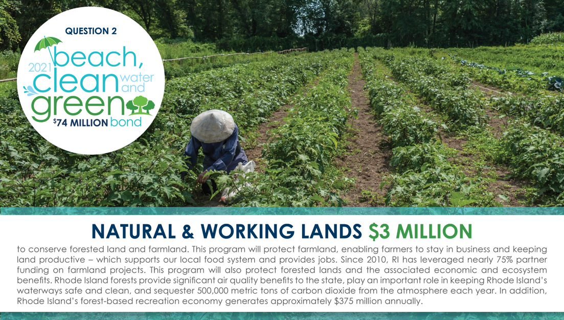 RhodeIslandDEM's tweet photo. Our local food system—which provides jobs for thousands of RIers—is expanding. If approved by voters 🗳️, Question 2  will keep local farms productive, grow our local food economy, + improve access to healthy food🥬🍅🥕! 

More at https://t.co/KE5ZMo1NuI + https://t.co/3DB911nbvM https://t.co/YfjQDidBtu