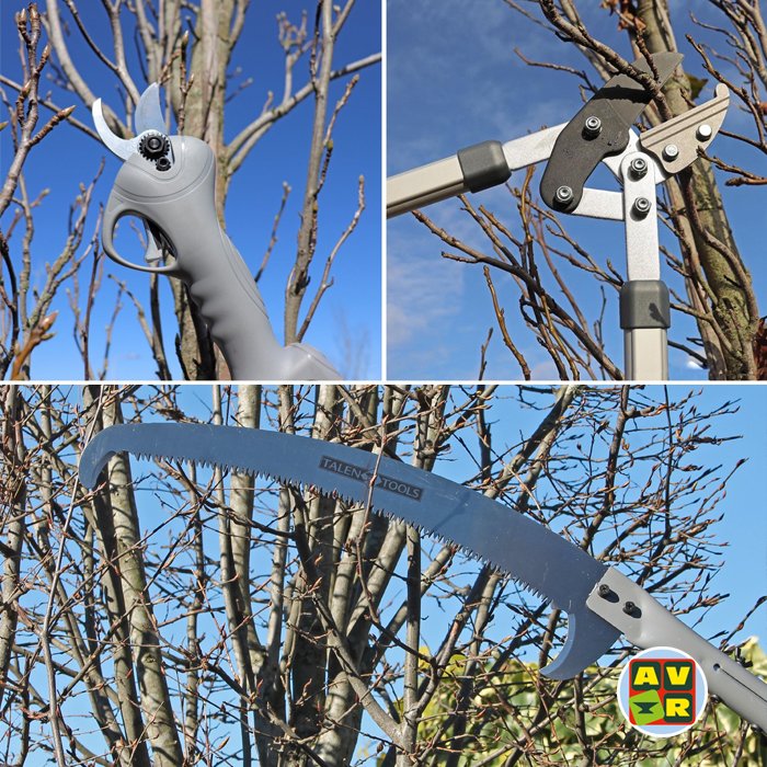 avrtools1849's tweet photo. Vanaf morgen droog en mooi lenteweer op komst. ☀️🌱
Door te snoeien bevorder je namelijk de groei van je planten en bomen. 🌿🌳 Het knippen van oude takken geeft je haag, struik of boom een nieuwe boost.
https://t.co/vx4bjwgSeD https://t.co/IdrtBnXkLv