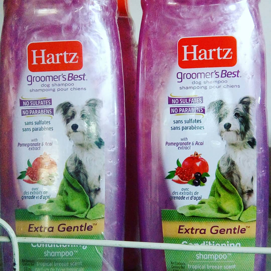 MoreTml's tweet photo. AVAILABLE various types of HARTZ SHAMPOO
*RID FLEA &amp; TICK SHAMPOO with FRESH CITRUS FRAGRANCE
*PUPPY SHAMPOO
*CONDITIONER
*FLEA &amp; TICK SOOTHING ALOE SHAMPOO
*WHITENING SHAMPOO
*CAT FLEA &amp; TICK FRESH SCENT SHAMPOO at affordable prices
Come &amp; experience ur best pet shopping💯 https://t.co/x0ileYfrz8