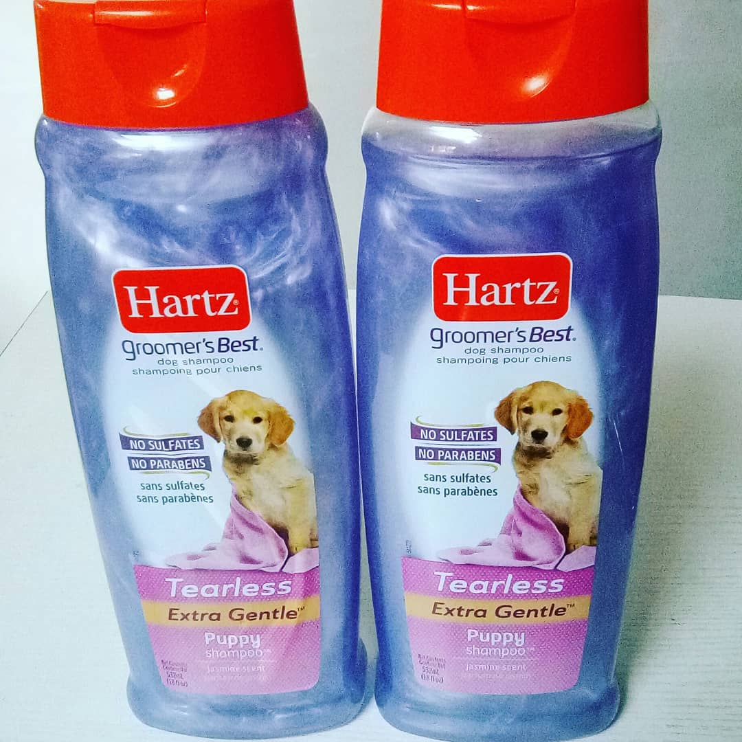 MoreTml's tweet photo. AVAILABLE various types of HARTZ SHAMPOO
*RID FLEA &amp; TICK SHAMPOO with FRESH CITRUS FRAGRANCE
*PUPPY SHAMPOO
*CONDITIONER
*FLEA &amp; TICK SOOTHING ALOE SHAMPOO
*WHITENING SHAMPOO
*CAT FLEA &amp; TICK FRESH SCENT SHAMPOO at affordable prices
Come &amp; experience ur best pet shopping💯 https://t.co/x0ileYfrz8