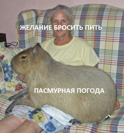 so_mad_so_funny's tweet photo. https://t.co/OyTMyJRoM2