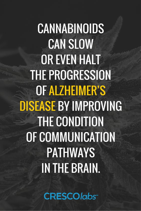 OneFallenAngelM's tweet image. 🤓🌿💚🎈