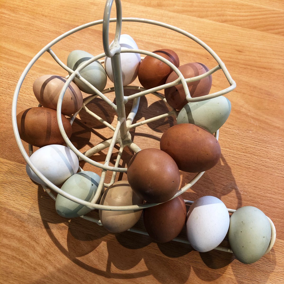 HenCorner's tweet photo. Hip hip hooray!
The girls are back in lay... #HugAHen #UrbanHens #KeepingChickens #ChickensOfTwitter #urbansmallholding #HenCorner #London #countryliving #goodlife #goodlifeinthecity #countryinthecity #hensoftwitter #courses #explore #skills #eggs #dailyegg https://t.co/D6PaZgPx38