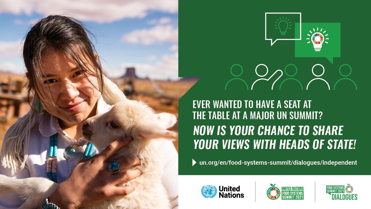 UN Food Systems Coordination Hub tweet media