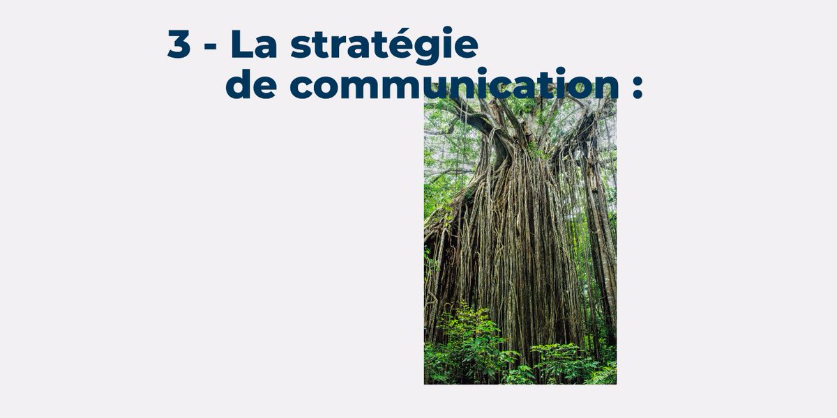 _agence_alignee's tweet photo. 3- La  #stratégiedecommunication :
Créer une interaction durable et impactante avec sa #communauté. https://t.co/g01gGCAjQh