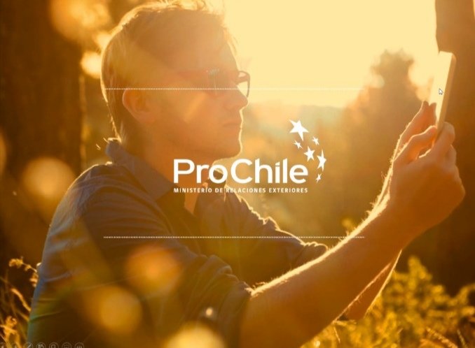 cdellibertador's tweet photo. 👉La @cdellibertador junto al Gobierno Regional, @CORE_OHiggins y @ProChile_Oh agradecen la participación activa  de emprendedores y empresarios en la Charla 📲 "Cómo Exportar, Paso a Paso" 🌏 iniciativa liderada por la @cdellibertador a través de su programa #AvanzaMiPyme https://t.co/tdvCV13u2L