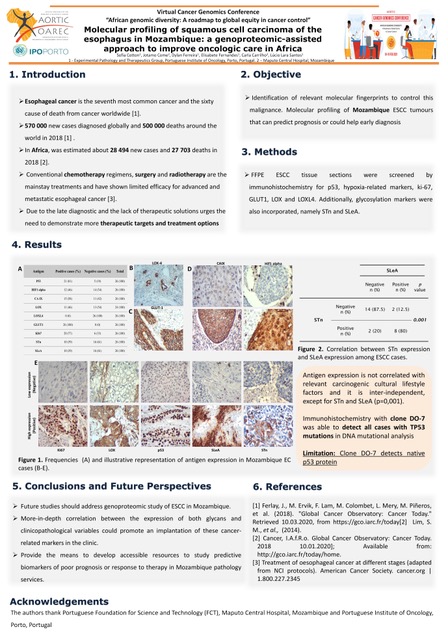 nijitoye's tweet photo. Sofia Cotton has a Biotechnology degree and a Molecular and Cell Biology MSc from Aveiro University. Her master thesis was performed in Pathology and Therapeutics Group IPO-Porto, @CottonRibeiro @AORTIC_AFRICA
#AfricanCancerGenomics https://t.co/VHxilkgdhc