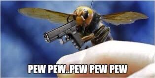 ColmBellew's tweet photo. @qikipedia Pew pew pew... https://t.co/liOHPFOlmY