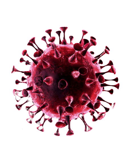 Mobidiag, A Hologic Company tweet media