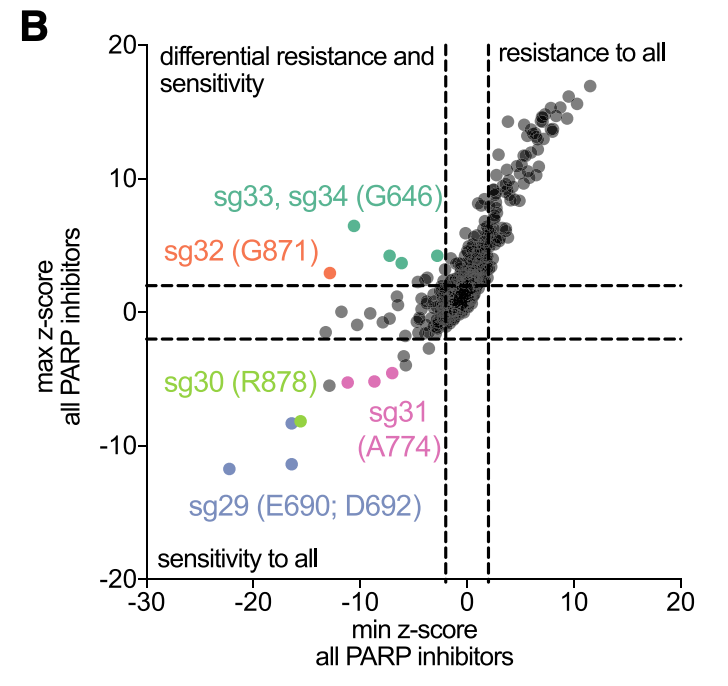 We took a similar approach for PARP inhibitors, and here we screened against five different small molecules in clinical use. Here, loss-of-function causes resistance (see work by  @stveep). While most mutations affected all PARPi molecules the same, saw some differences emerge.