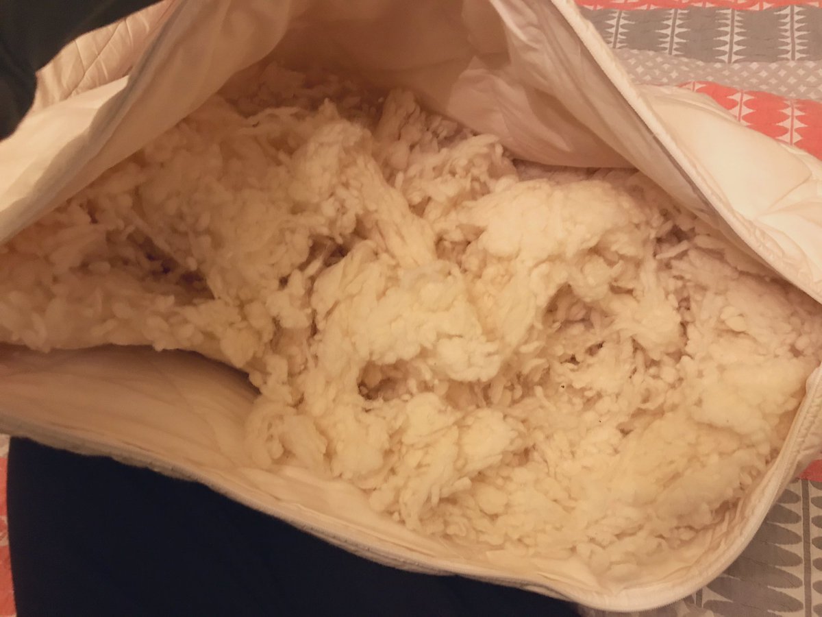 Daniel Hugill tweet media