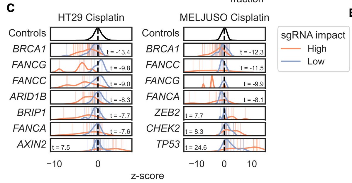 Okay, so how big can we go? We designed a library to introduce every C>T mutation in ClinVar, and screened for variants that modulated sensitivity to DNA damage (cisplatin) in two cell lines. Variants with a predicted high impact separated from low impact for many known genes.