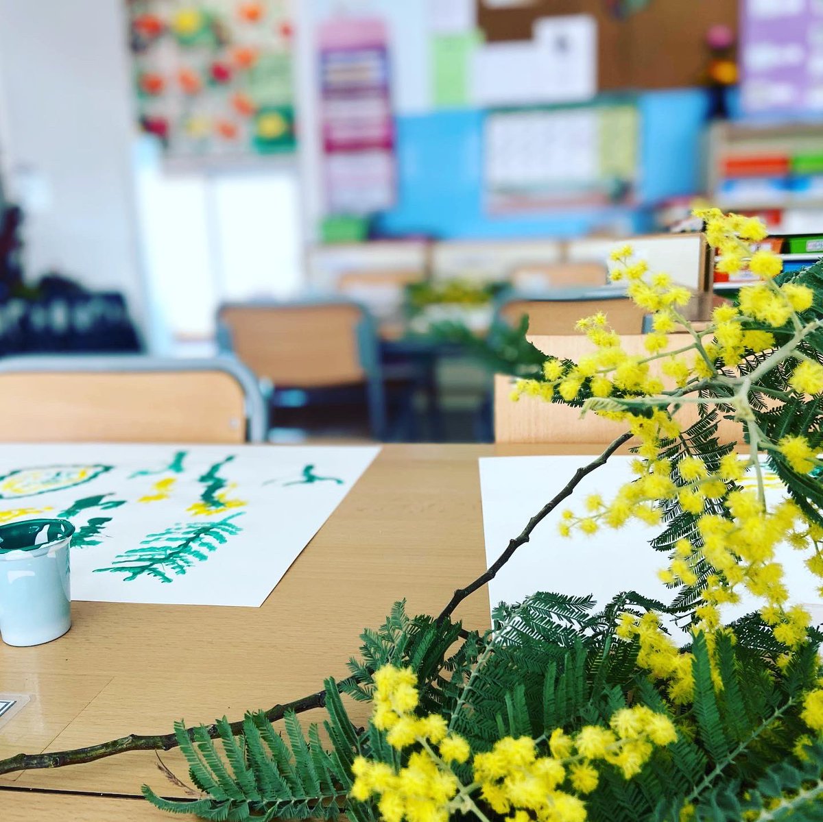 eAbelFerrater's tweet photo. Després d’una volteta pel barranc, els alumnes de P5 han fet un dibuix amb pintura de la mimosa al natural. Som uns artistes! #mimosa #pintem #posemcoloralhivern #artistes @educaciocat https://t.co/TCz0EaRR9F