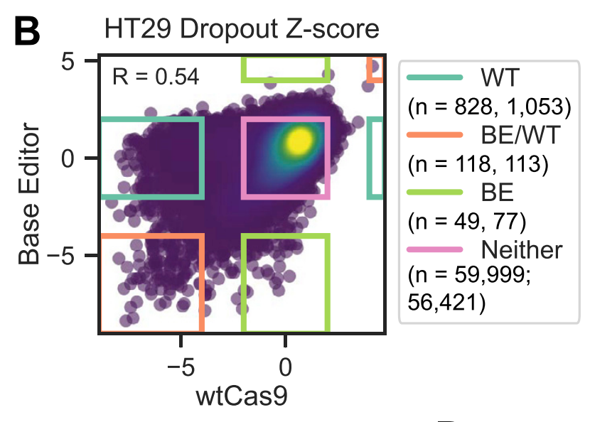 We also did a counter-screen with this library, using wt Cas9, i.e. for knockout. What's really cool about this is the identification of small number of guides that don't affect the cell with k/o, but *do* with a base edit, as possible gain-of-function mutations.
