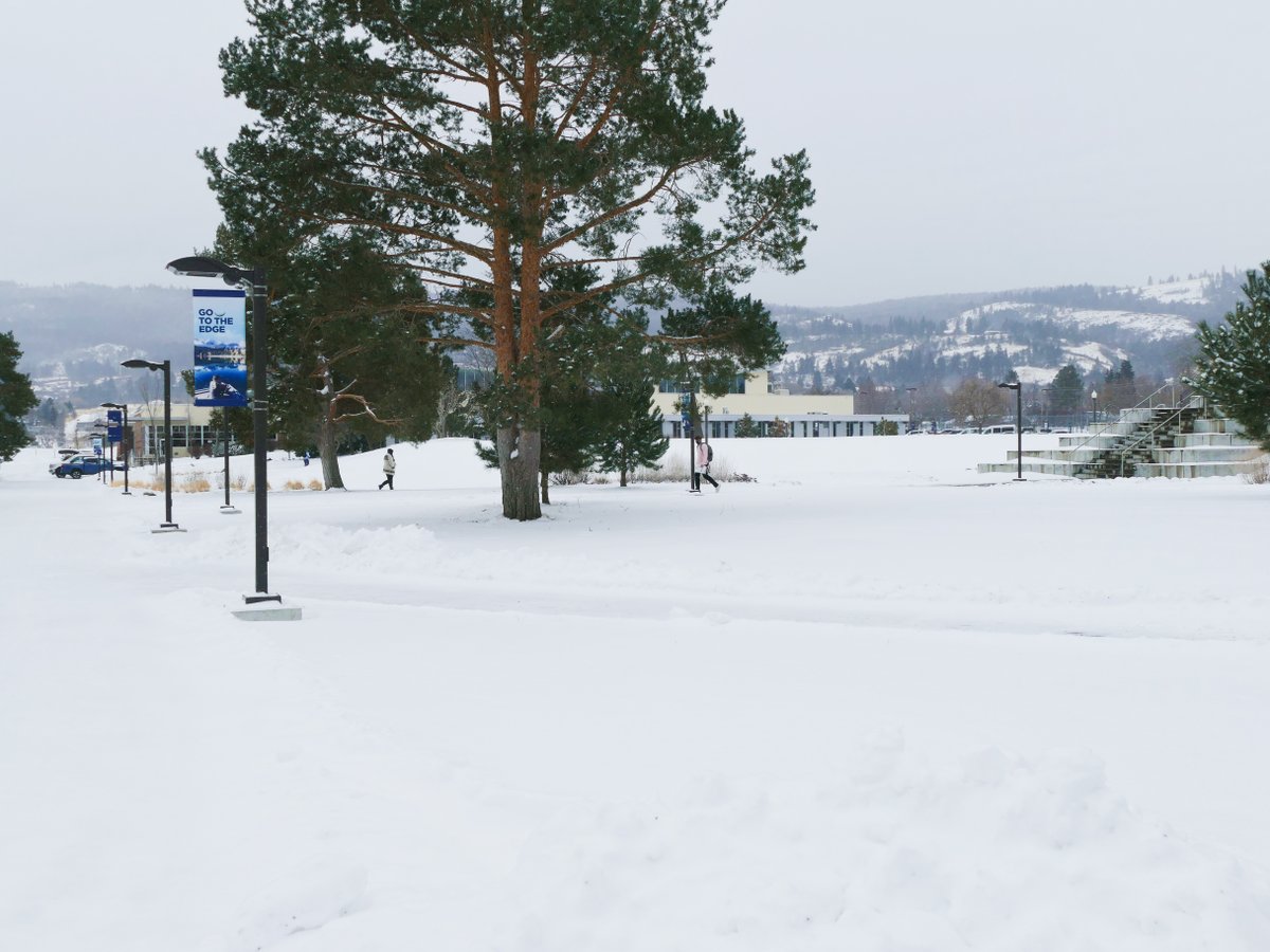 eoumountaineers's tweet image. There&apos;s snow place like campus! ❄️
#EasternEdge #winterterm #inpersonclasses #maskupmounties