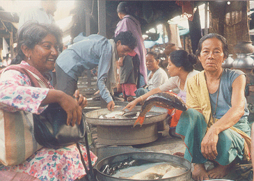 lingfieldnotes's tweet image. Field Notes episode 25 out now! This bonus ep is with the One &amp;amp; Only Shobhana Chelliah on her extensive work in Tibeto-Burman languages. lingfieldnotes.podbean.com/e/episode-25-t… 💾 #languagedocumentation #tibetoburmanlanguages #endangeredlanguagedocumentation #langdoc