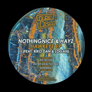 .<a href="/nothingniceuk/">nothingnicemusic</a> &amp; <a href="/_hayzuk/">Hayz</a> hit with precision on 'Hawkeye EP'

onceuponagrime.com/2021/02/nothin…