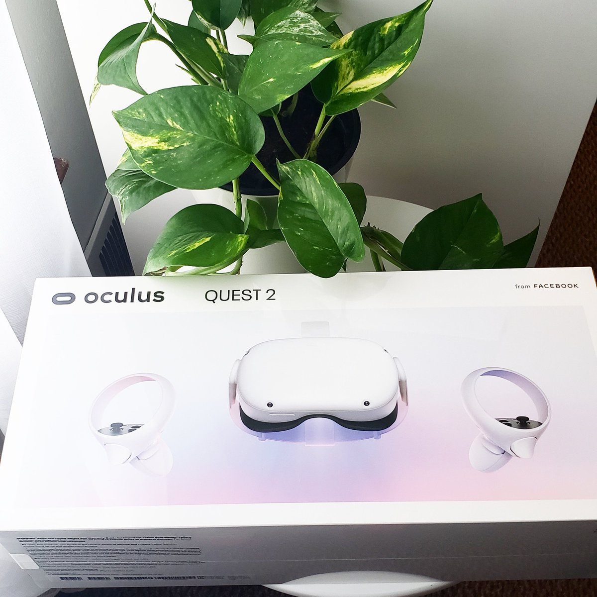CodingVenus's tweet image. After weeks of shipping delays I finally have all the items I need to get my PC back up and running 🙌🏾

On top of that I also got my #Oculus Quest 2 😍😍
---
#VR #AR #XR #CodeNewbie #BlackTechTwitter #WomeninXR