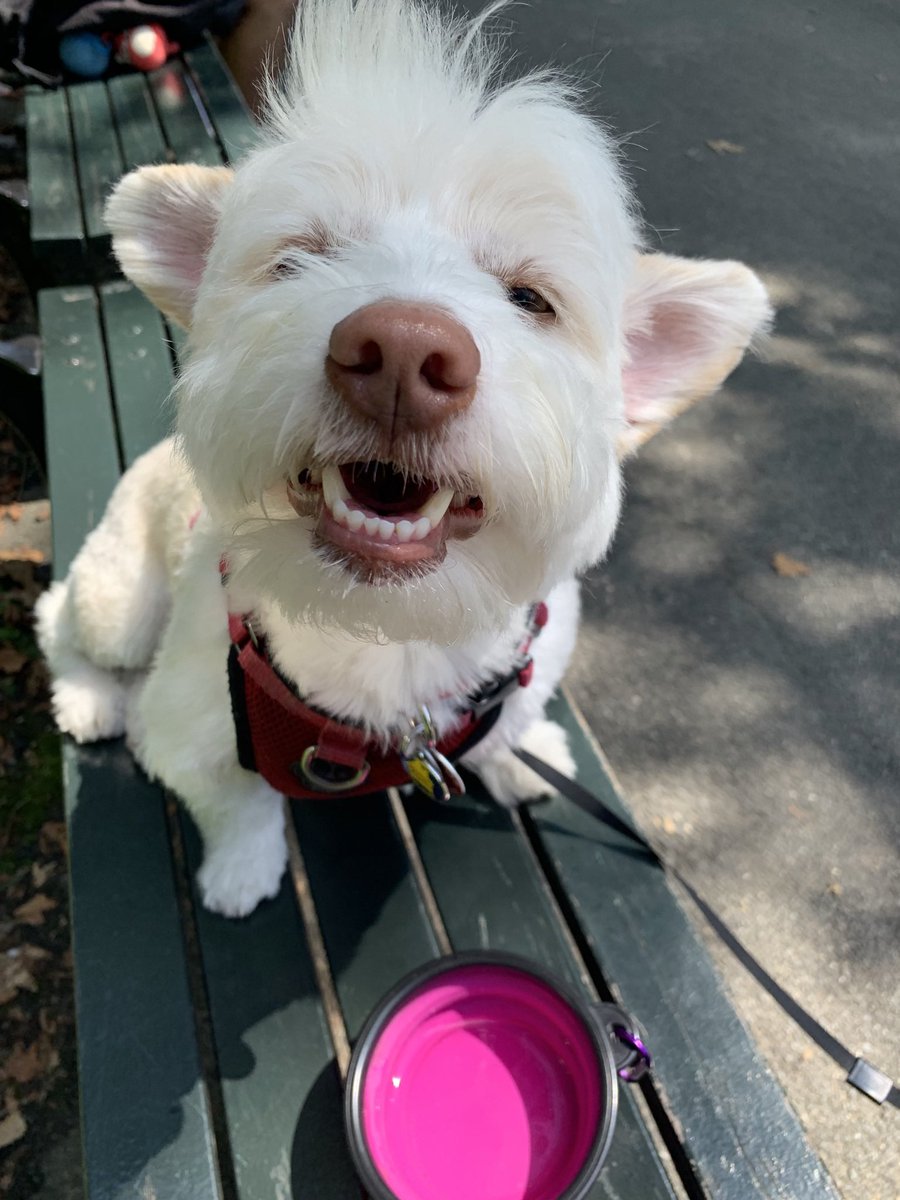 Elaine Wan tweet media