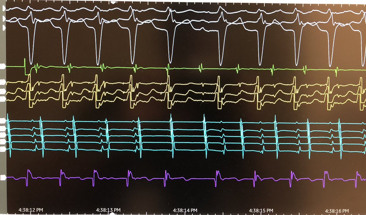 Jason Appelbaum tweet media
