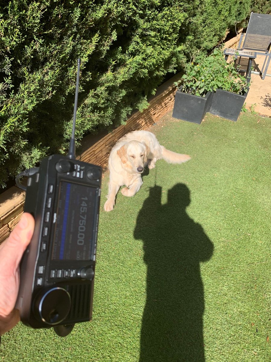 luisXLmartin's tweet photo. Did you know the #IC705 it’s a WALKIE as well #born2radio @Icom_UK
     #DXradioCLUB #HamRadio #Walkie https://t.co/ZdCoMLIXik