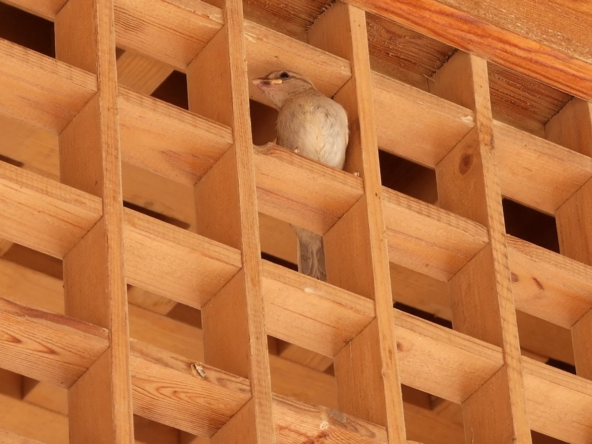 Pure Hydration tweet media