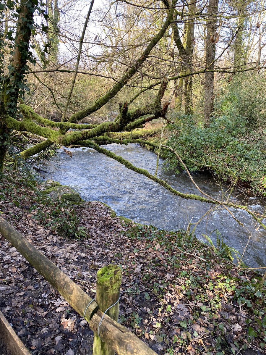 AMCNewportHigh's tweet photo. Beautiful walk today #strollwithscience @NHSScience2 https://t.co/AFfzwYgitN
