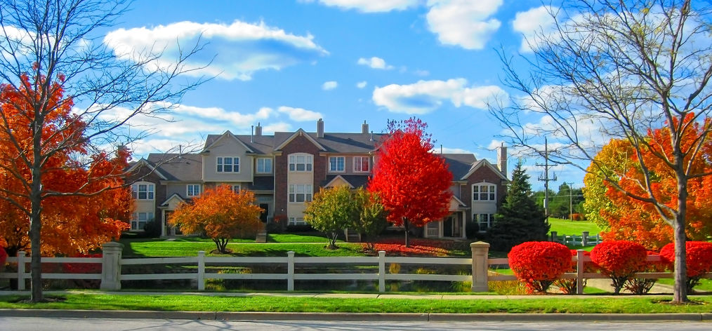 ForestTreeTX's tweet image. Are you looking for ways to boost your property value for a sale or just for you? Check out all of the ways planting trees can get the job done!
foresttreeservicekingwood.com/4-ways-trees-m…