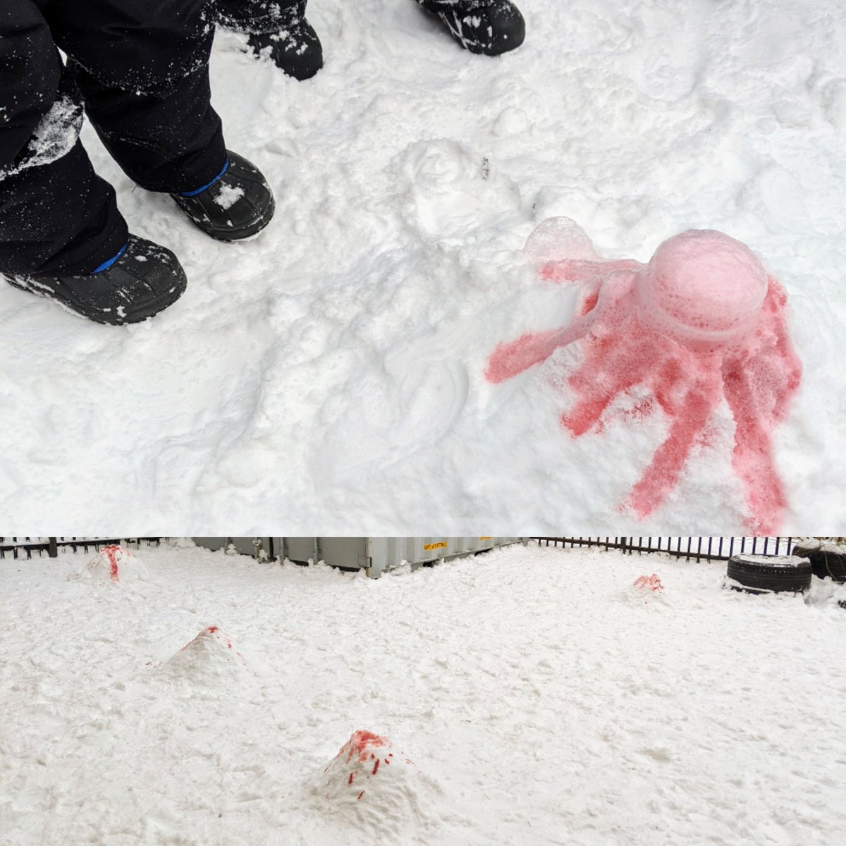 PerthPanthers's tweet photo. Want to add some excitement to your day? Make snow volcanos!! #scienceisfun @TDSB_PerthAve #thisisfdk @tdsb https://t.co/VnkIJdWJZM