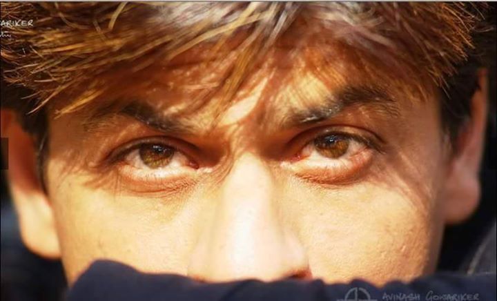 ssr99's tweet photo. @iam_juhi @iamsrk @KKRiders I thought he's SRK ! https://t.co/pzlgddsEYi