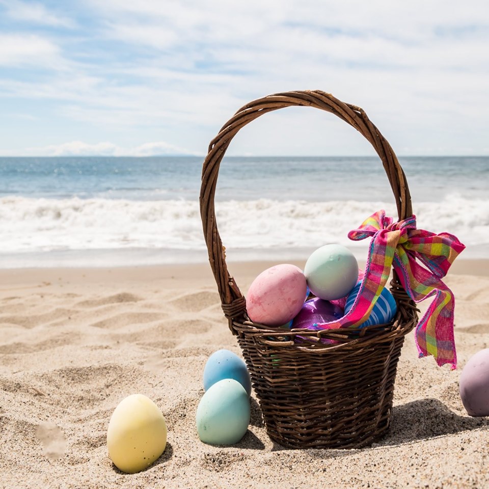 InterHCTS's tweet image. Easter and May Holidays 2021 early booking
hotelcasinointernational.com/offer/easterho…