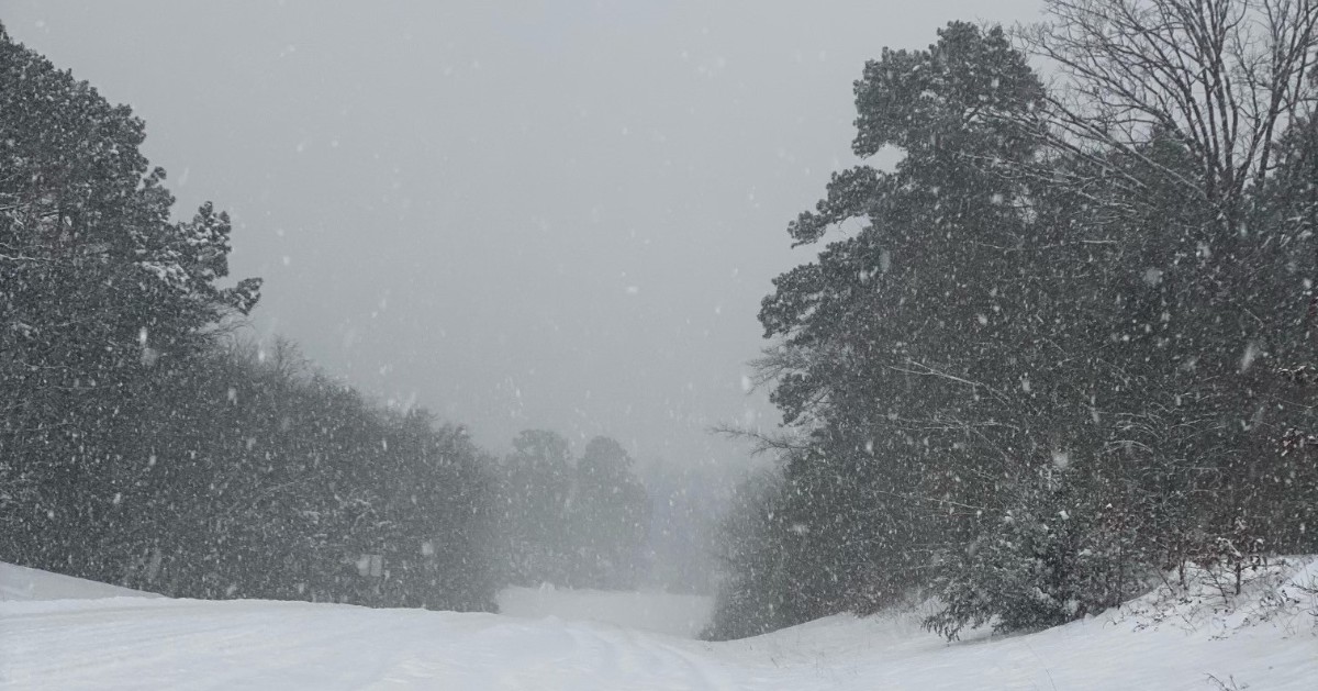 capacitytrucks's tweet photo. Our facility remains closed today due to the severe winter weather in Texas. Here's a snapshot of our view a few days ago. Please stay safe and warm. https://t.co/oXXe8Xg9Tm