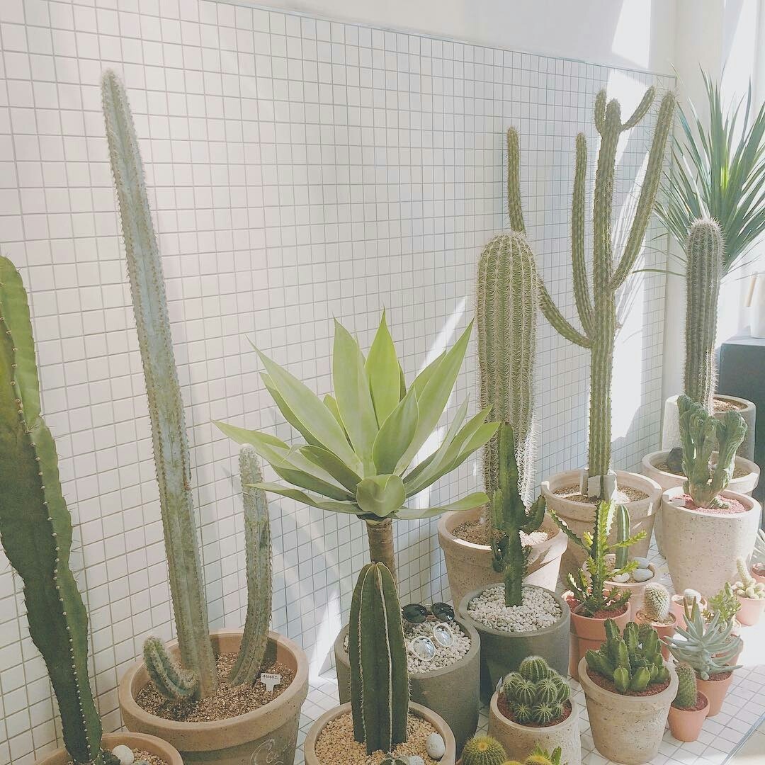 test drive;you’re gay and you don’t know how to drive, you’re spontaneous and over dramatic sometimes but that’s what makes you special. You have good taste in music