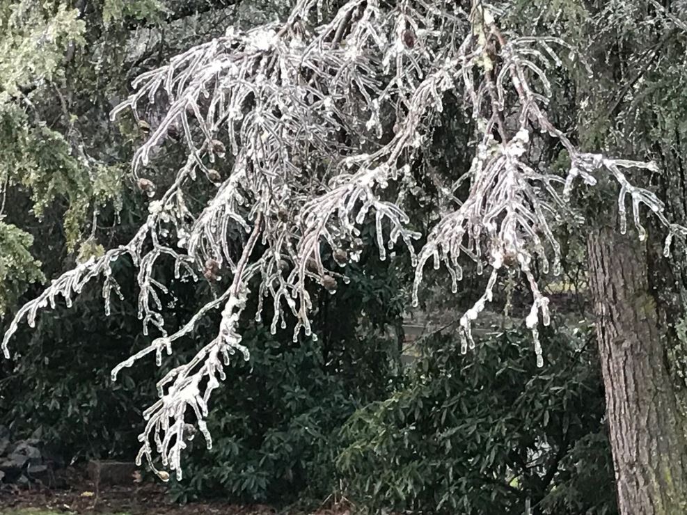 Karen Zatkulak tweet media