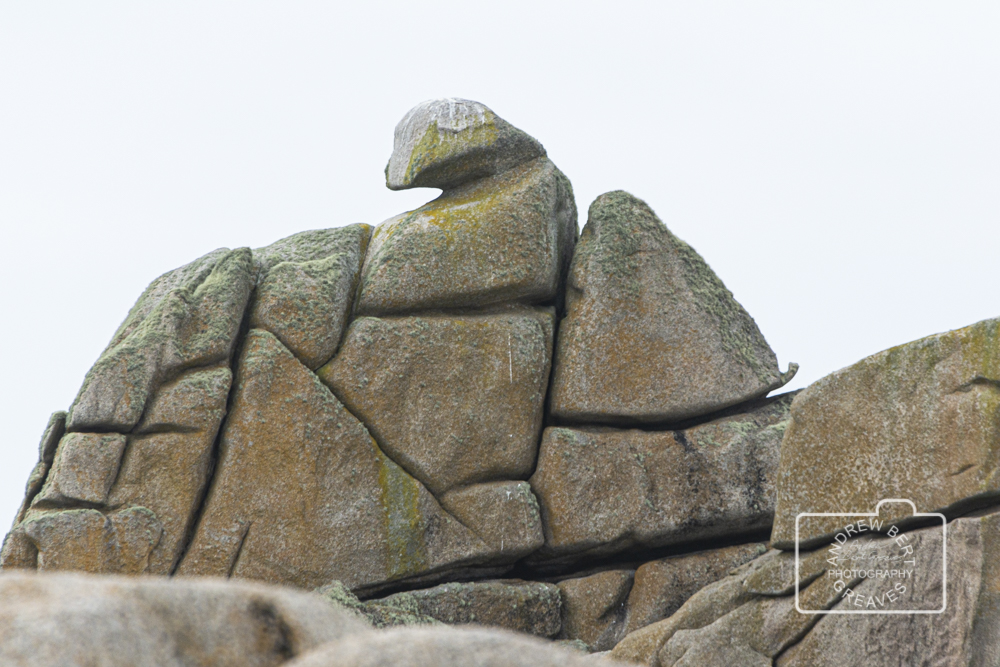 ABGreavesphoto's tweet photo. Rock face
#facethursday #thursdayface #rockface #rock #stoneface #stoneyfaced #stoneface #pareidolia #iseefaces #facesinthings #facesinplaces #face #Nikon #islesofscilly #stmarys #abstractface #picassoface #whatdoyoumeanyoudontseeit #pareidolie #iseefaceseverywhere #pareidoliapic https://t.co/UeeNAyvV4M