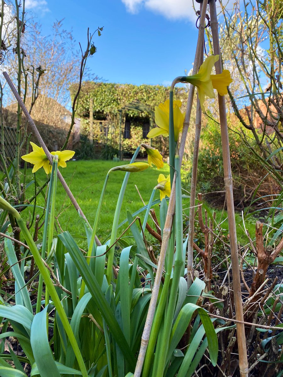 Looks like spring is not far away <a href="/SuviDogra/">Suvi Dogra</a>