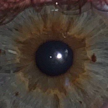 grimmaholic's tweet photo. dream eye reveal?

#dream #dreamfanart #mcytfanart #dreamsmp #4hours #minecraft https://t.co/1Gb8wUKPpm