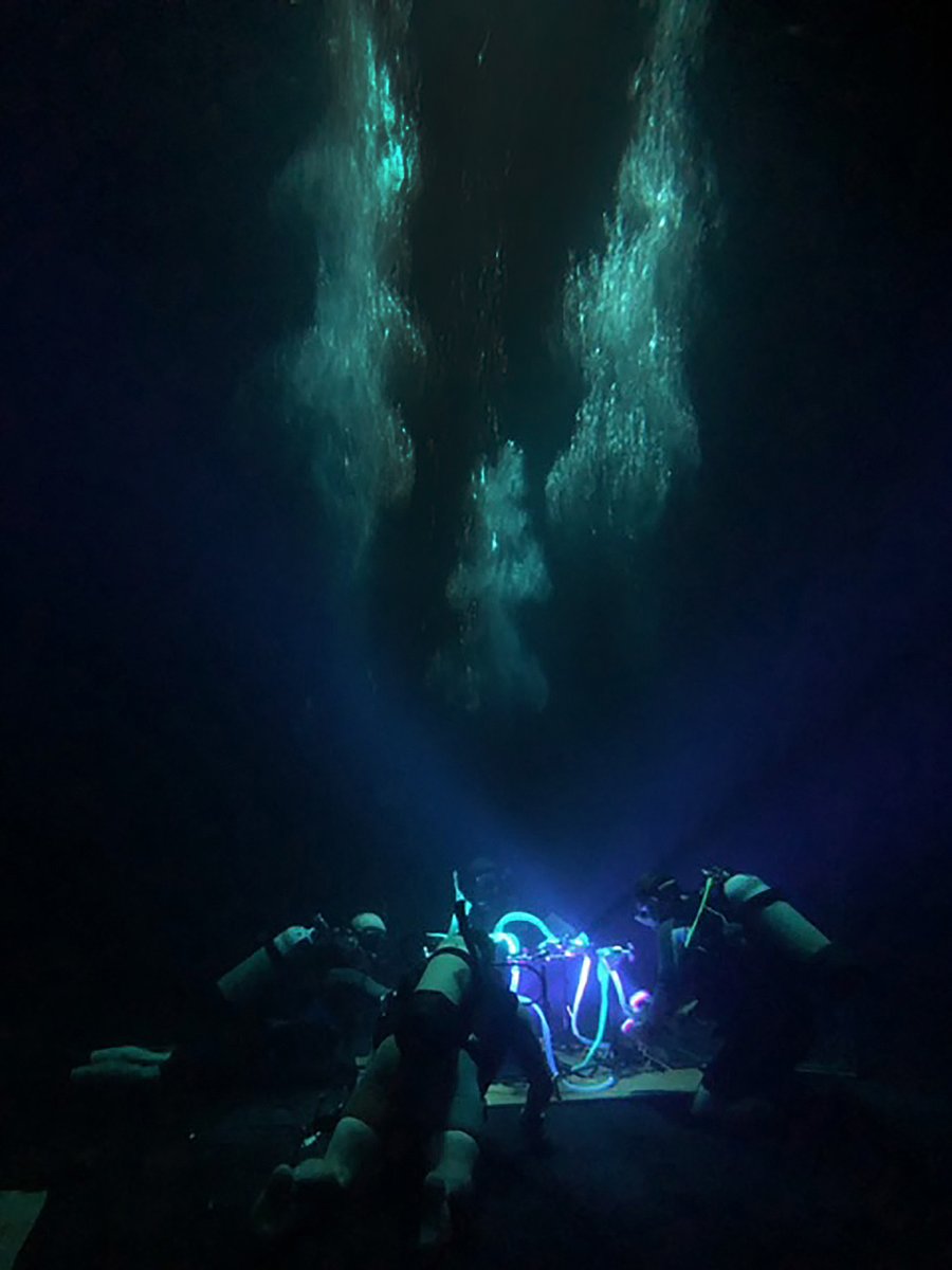ZacMacaulay's tweet photo. Sacrifice - a movie film that has just been released in the US and UK. Don’t worry no scary bits in my underwater clips. 

Set in Norway involving a sinister cult intervening with a husband and wife on holiday.  Dir Andy Collier and Tor Mian @zacmacaulay
https://t.co/DWkPLfAhxb https://t.co/hihkwMMWkg