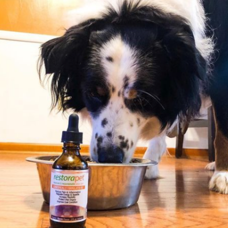 RestoraPet tweet media