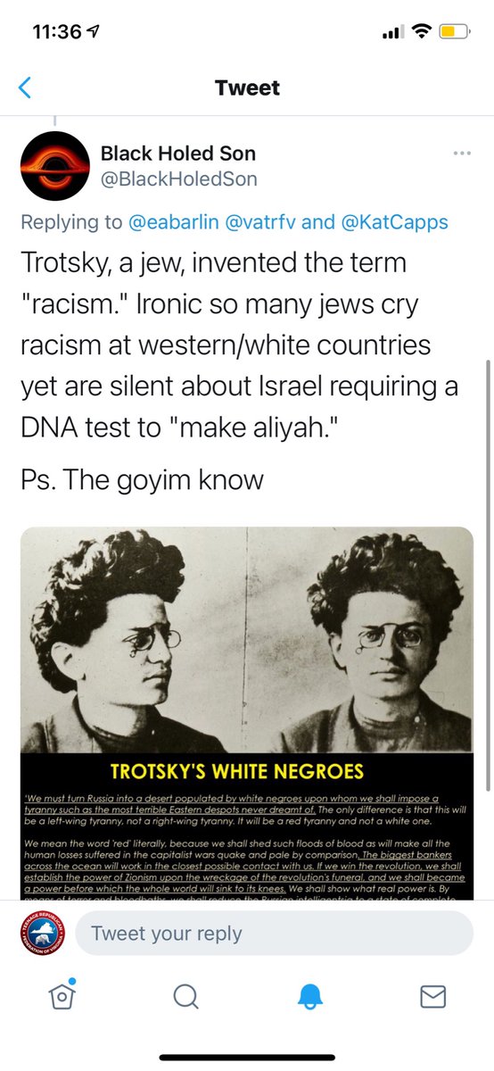 On Feb 13, I saw an egregious post (ref Nazis) by the VA RNC committeewoman. I tweeted about it The @vatrfv condemned it. @StopAntisemites posted an article. National Groups condemned it. I received many calls Here are just a few of the Anti-Semitic, racist & bigoted reactions