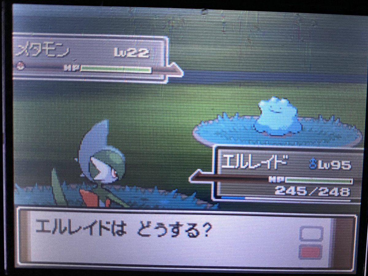 O Xrhsths 栞 ヒノノ 現在ポケモン沼 Sto Twitter ポケトレ色違い めちゃくちゃねっむい うらにわメタモン色違い 性格集めもしたかったので 41匹捕まえてよーやくでました O Xrhsths 栞 ヒノノ 現在ポケモン沼 Sto Twitter ポケトレ色違い めちゃくちゃねっむい うらにわメタモン色違い 性格集めもしたかったので 41匹捕まえてよーやくでました