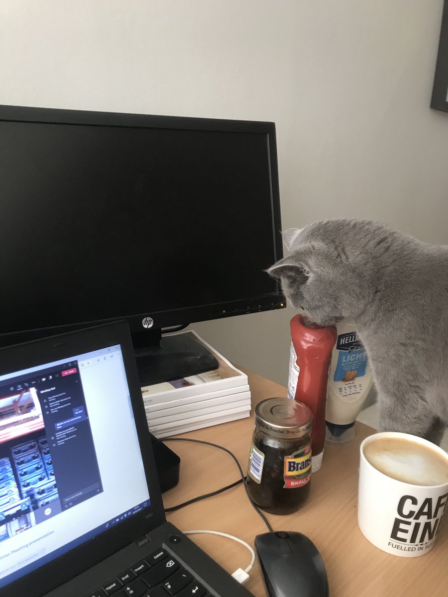 Dr_Allie_Hare's tweet photo. Could I BE any more #BTSWinter?? #BTSWinterCats #BTSWinterMugs #condimentgate https://t.co/Ed6Rvg96Gb