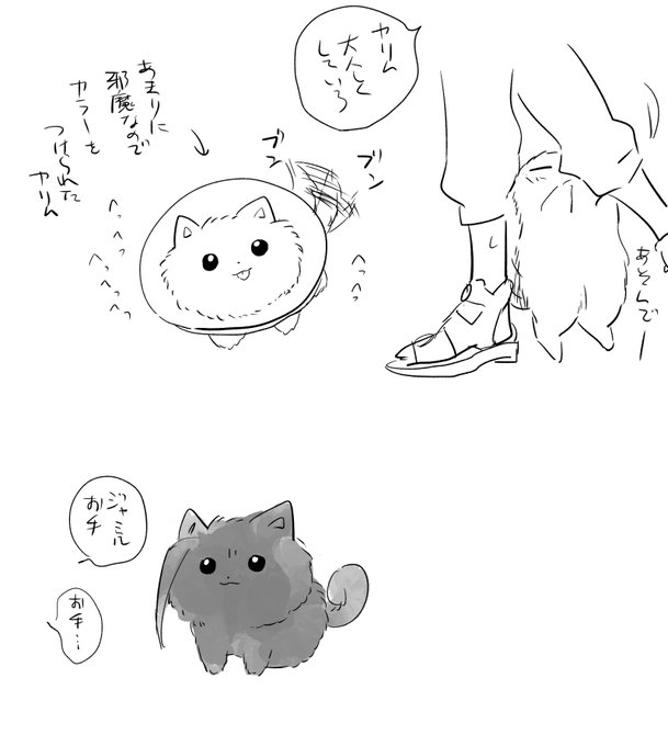 ポメ… 